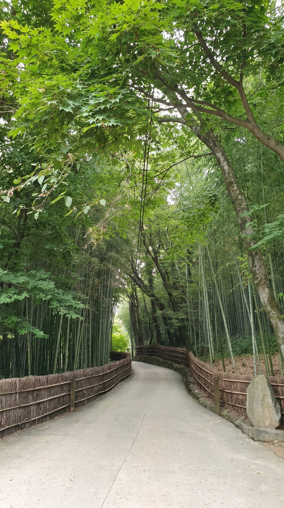 Traditional tiled-roof pavilion surrounded by greenery in Damyang